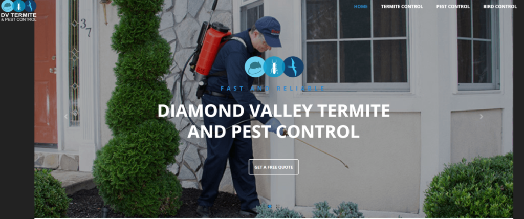dv termite and pest control